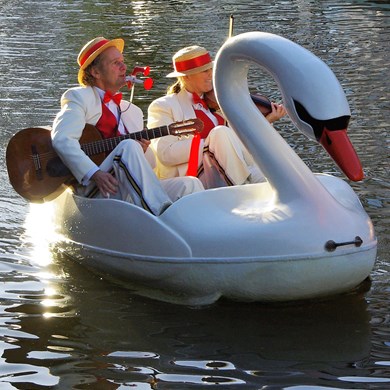 Zingende Zwaan